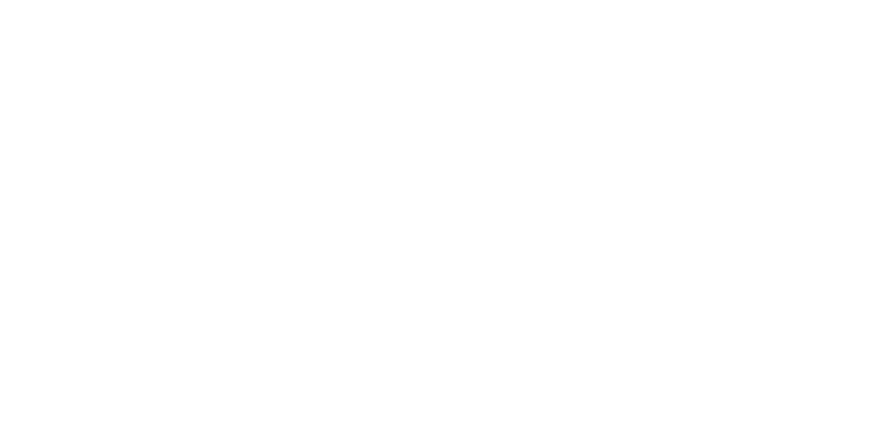 Salin Logo